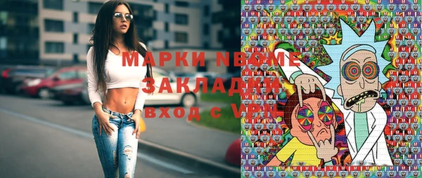 твердый Ряжск