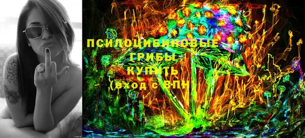 хмурый Рославль